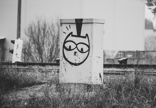 IMG 0009